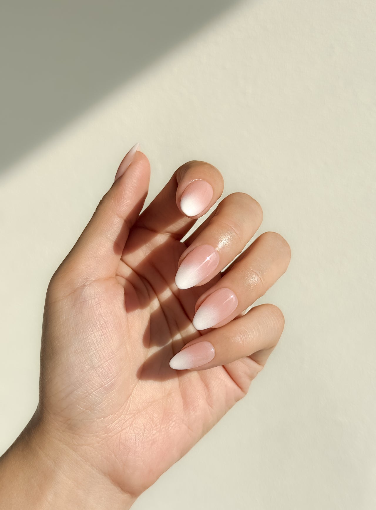 Sugar Dust Mini