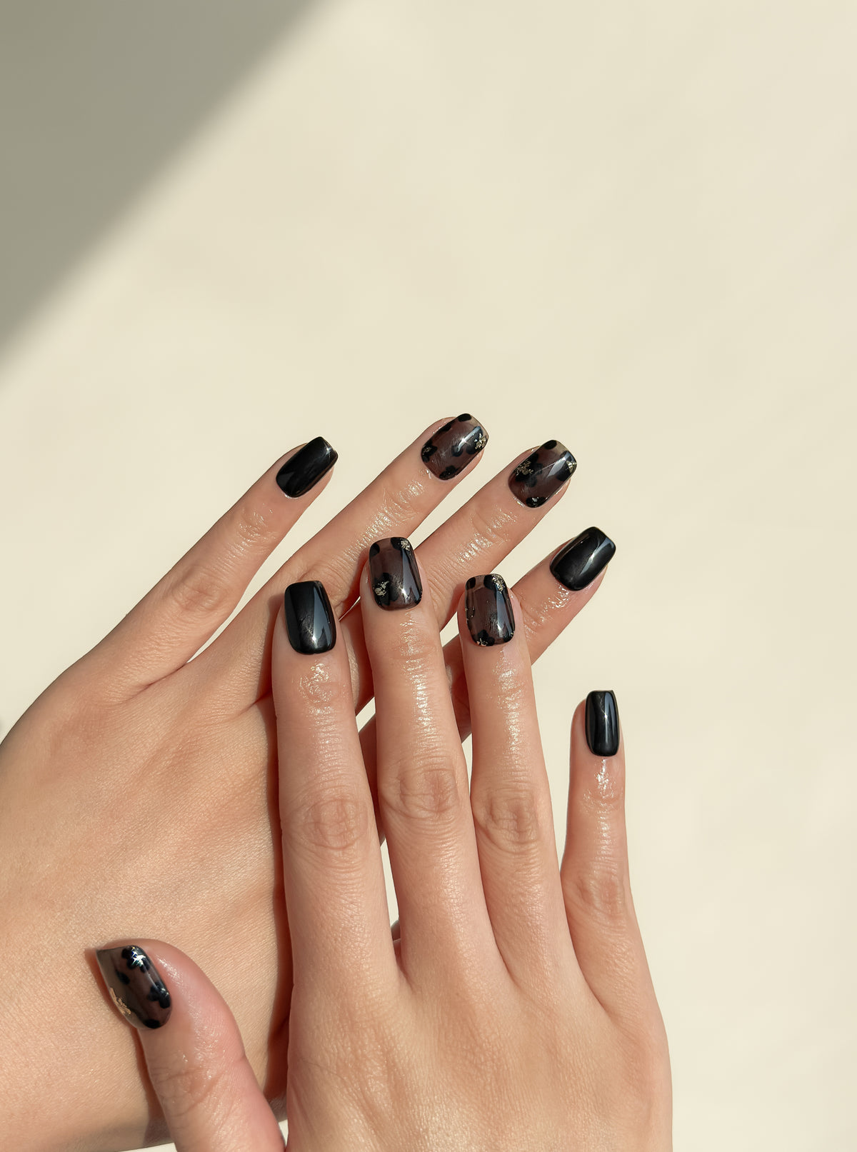 Allegedly smoky black short square press-on nails with translucent abstract panels and gold foil arranged on white.