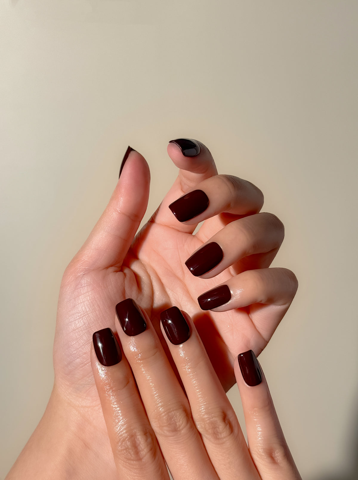 Two hands wearing OOO deep brown short square press-on nails with a smooth high-gloss finish.
