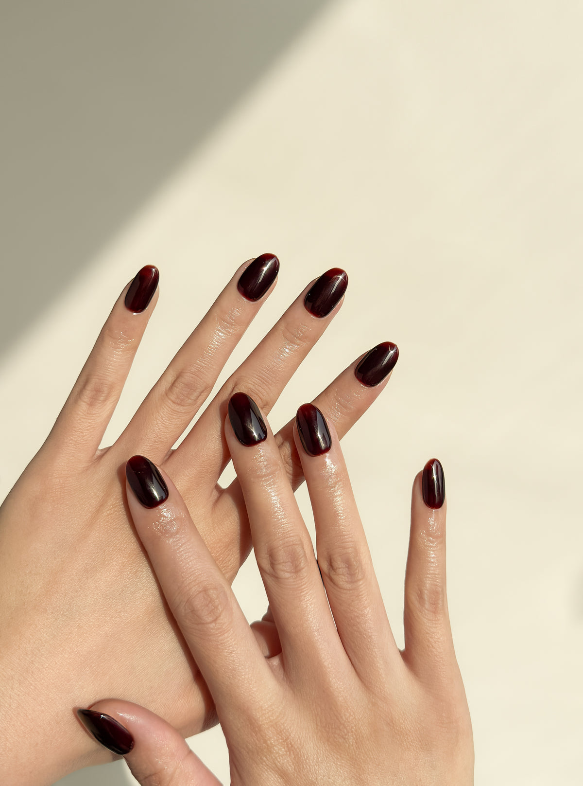 Two hands wearing Coffee Break glossy dark brown short oval press-on nails in warm natural sunlight.