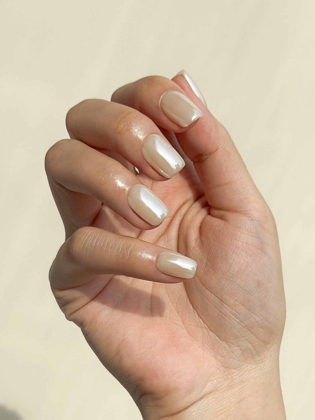 A hand wearing Early Rise soft cream glazed short square press-on nails in warm natural sunlight.
