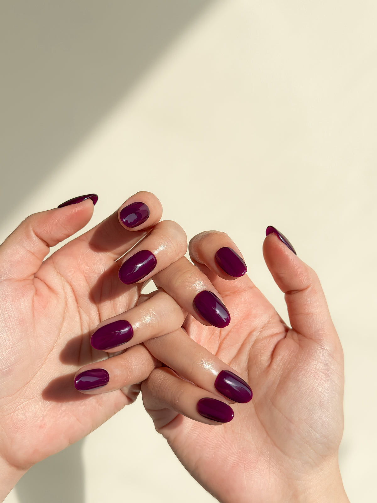 Two hands wearing Office Crush glossy aubergine purple short oval press-on nails in warm natural sunlight.